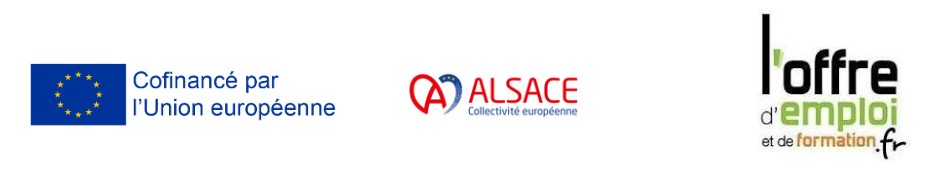 Partenaires Job dating Foire Européenne