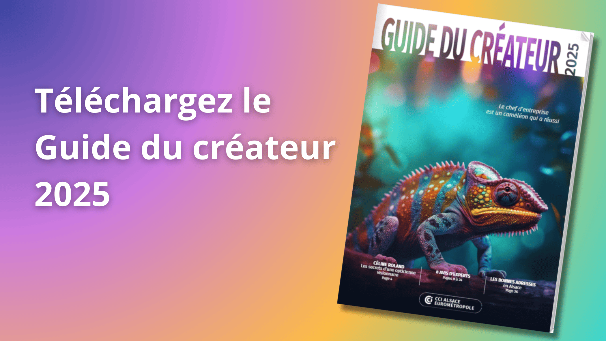 Livre blanc Guide du créateur