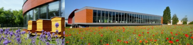 Atelier aléas climatiques