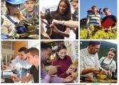 Mosaique apprentissage