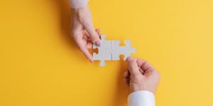 CCI Business builder